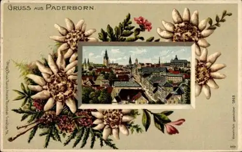 Litho Paderborn in Westfalen, Gesamtansicht, Edelweiß
