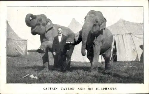 Ak Zirkus, Captain Taylor, Elefanten