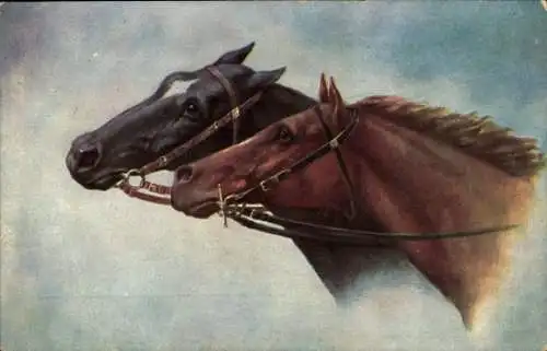 Künstler Ak Pferdegespann, Pferdeköpfe, Zaumzeug, Portrait