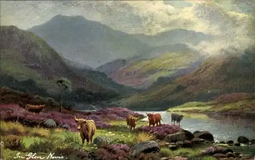 Künstler Ak Glen Nevis Schottland, Rinder in der Natur