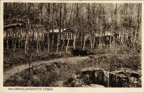 Ak Streek Sandkrug Hatten in Oldenburg, Walderholungsstätte