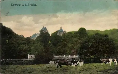 Ak Kettwig Essen im Ruhrgebiet, Rinder auf der Wiese, Kirchturm