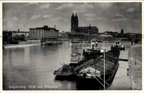 Ak Magdeburg an der Elbe, Dom, Elbpartie