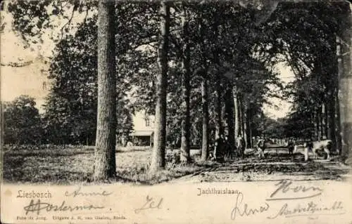 Ak Liesbos Breda Nordbrabant Niederlande, Liesbosch, Jachthuislaan