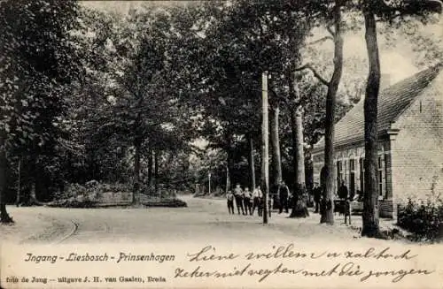 Ak Liesbos Breda Nordbrabant Niederlande, Liesbosch, Ingang, Prinsenhagen
