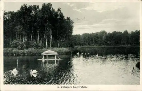 Ak Berlin Charlottenburg, Volkspark Jungfernheide, Teich