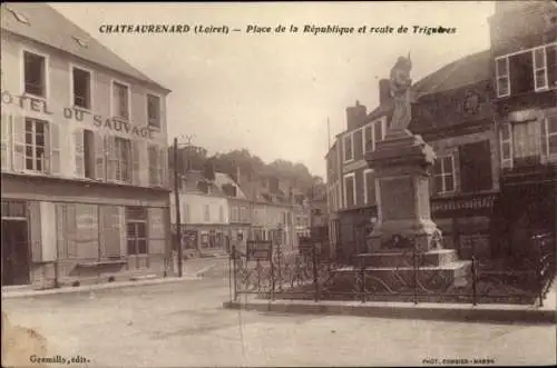Ak Châteaurenard Bouches du Rhône, Platz der Republik, Hotel du Sauvage, Statue, Straßenansicht