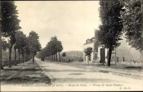 Ak Morigny Champigny Essonne, Route de Paris, Ferme de Saint Phalier
