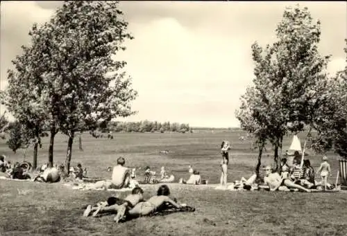 Ak Knappenrode Hoyerswerda in der Oberlausitz, Badegäste am Knappensee, Wiese, Bäume, Sommerzeit