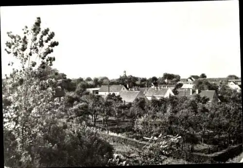 Ak Wulfen Osternienburger Land in Anhalt, Fotografie von Wulfen, Häuser und Bäume