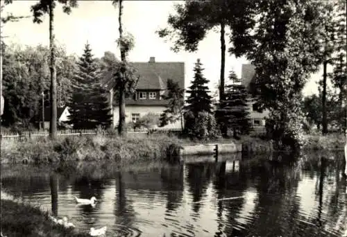 Ak Grumbach Wilsdruff Sachsen, Idyllische Landschaft, Teich, Enten, Bäume, Gebäude