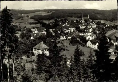 Ak Bischofsgrün im Fichtelgebirge, Gesamtansicht, Blick vom Hügelfelsen