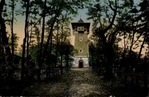 Ak Northeim in Niedersachsen, Wieterturm, Natur, Wälder,  Ansicht