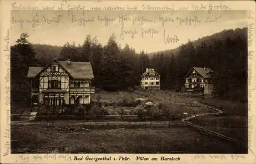 Ak Georgenthal in Thüringen, Villen an der Harzloch