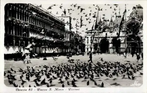 Ak Venezia Venedig Veneto, Piazza San Marco, Tauben