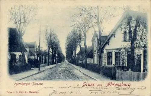 Ak Ahrensburg in Holstein, Hamburger Straße