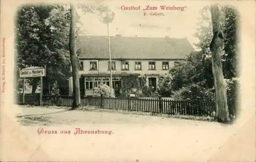 Ak Ahrensburg in Holstein, Gasthof 'Zum Weinberg', schöne Bäume, Gruss aus Ahrensburg