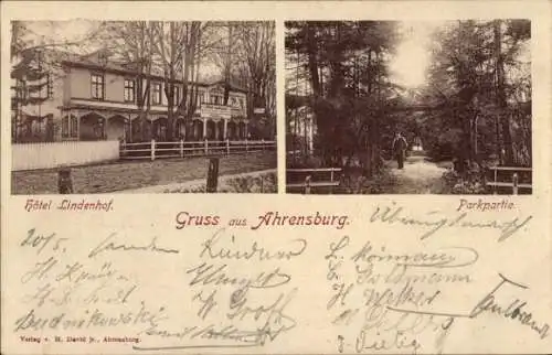 Ak Ahrensburg in Holstein, Hôtel Lindenhof, Park