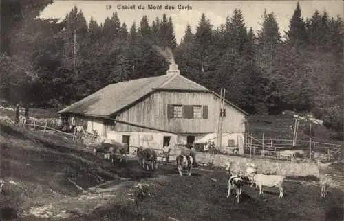 CPA Sainte-Croix Canton de Vaud, Chalet du Mont des Cerfs