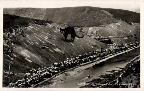 Ak Zell an der Mosel, Fliegeraufnahme