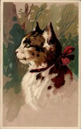 Präge Ak Katze mit Halsband, Tierportrait