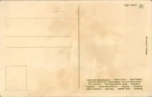 Präge Ak Katze mit Halsband, Tierportrait