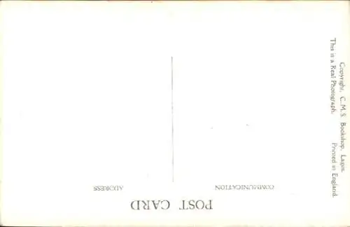 Ak Afrika, Holzmarkt