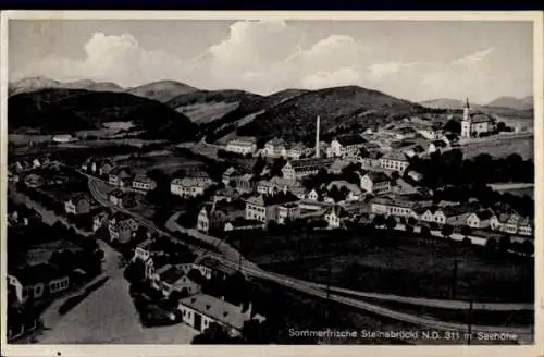 Ak Steinabrückl Wöllersdorf im Piestingtal Niederösterreich, Gesamtansicht