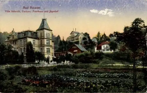 Ak Duszniki Zdrój Bad Reinerz Schlesien, Villa Schmidt, Fortuna, Forsthaus, Jägerhof