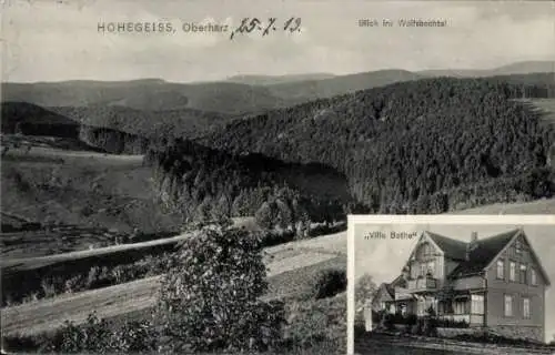 Ak Hohegeiß Braunlage im Oberharz, Blick ins Wolfsbachtal, Villa Bothe