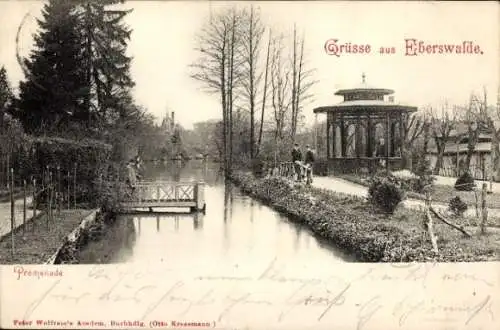 Ak Eberswalde in der Mark, Promenade