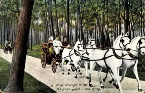 Ak Königin Wilhelmina der Niederlande, Haagsche Bosch, Pferdekutsche