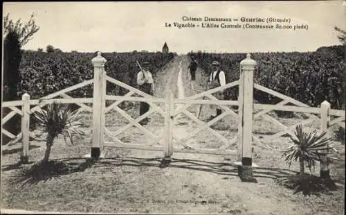Ak Saint Julien Beychevelle Medoc Gironde, Vineyard gate, vineyard path, two people, Château Desc