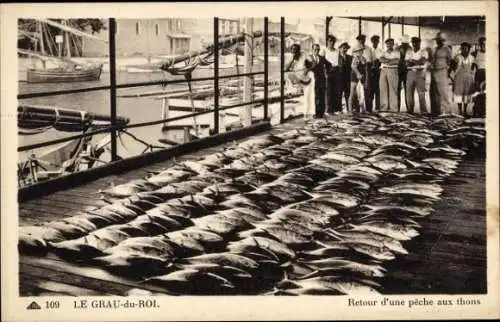 Ak Le Grau du Roi Gard, Retour d'une peche aux thons