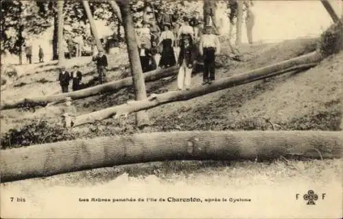 Ak Charenton le Pont Val de Marne, Umgestürzte Bäume, Menschen auf einer Wiese, Natur nach Zyklon