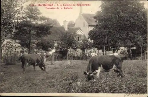 Ak Montfermeil Seine Saint Denis, Kühe auf der Weide, Laiterie de  Domaine de la Tuilerie