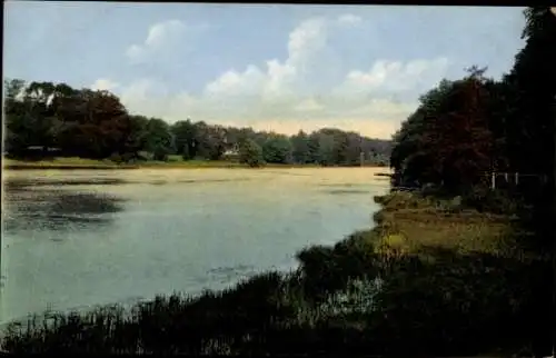 Ak Reinbek in Schleswig-Holstein, Landschaftsbild mit einem See, Bäume, Wolken, Gebäude im Hinter