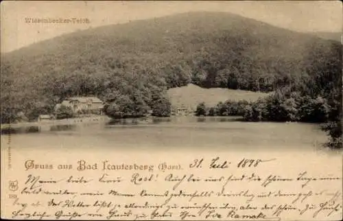 Ak Bad Lauterberg im Harz, Wiesenbeeker Teich, Häuser am Wasser, Naturaufnahme,  