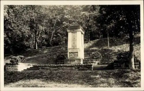 Foto Ak Pirna an der Elbe, Denkmal