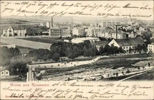 Ak Rosswein Roßwein in Sachsen, Landschaftsaufnahme, Häuser, Felder, Fluss
