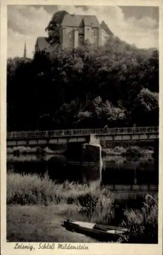 Ak Leisnig in Sachsen, Schloss Mildenstein, Fluss, Brücke, Hügel, Bäume