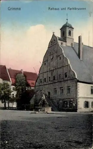Ak Grimma in Sachsen, Rathaus, Marktbrunnen,  Gebäude, Stadtansicht