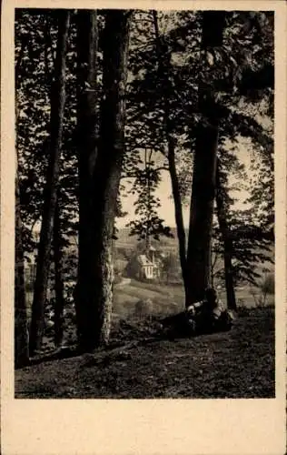 Ak Thierfeld Hartenstein Sachsen, Blick aus dem Wald hinaus, Kirche