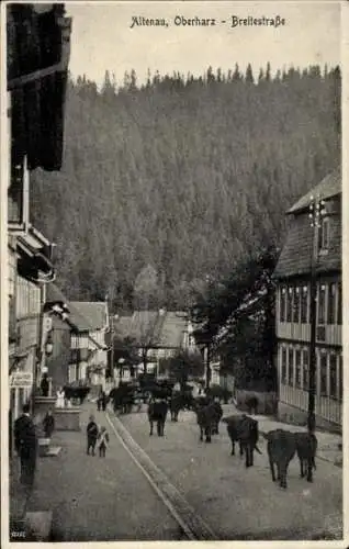 Ak Altenau Clausthal Zellerfeld im Oberharz,  Breitestraße,  Straße mit Vieh