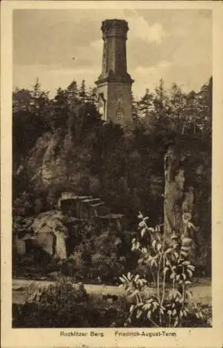 Ak Rochlitz an der Mulde, Rochlitzer Berg, Friedrich August Turm, Friedrich-August-Turm, Wald, Au