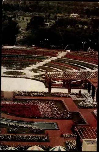 Ak Essen im Ruhrgebiet, Gartenbau-Ausstellung, Dahlienarena, Mohnblüte, Pergola, botanischer Gart