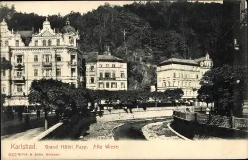 Ak Karlovy Vary Karlsbad Stadt, Grand Hotel Pupp, alte Wiese