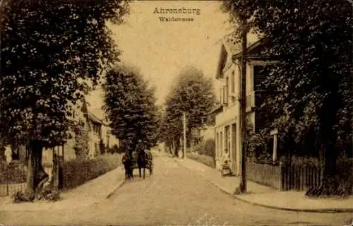 Ak Ahrensburg in Holstein, Waldstraße mit Bäumen, Pferd und Wagen, Gebäude sichtbar