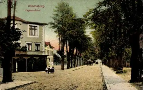 Ak Ahrensburg in Holstein, Hagener-Allee, alte Baumallee, Häuser, Menschen