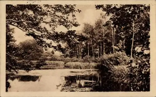 Ak Piskowitz Nebelschütz Oberlausitz, Genesungsheim, Mühlteich